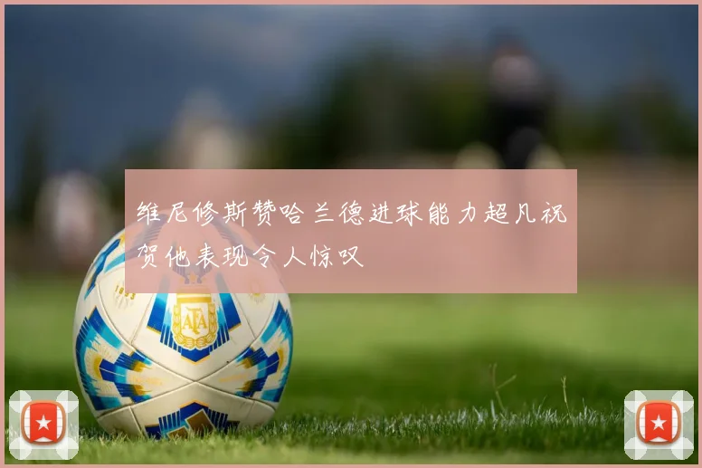 维尼修斯赞哈兰德进球能力超凡祝贺他表现令人惊叹