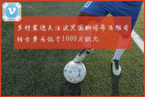 多特蒙德关注波黑国脚塔希洛维奇转会费或低于1000万欧元