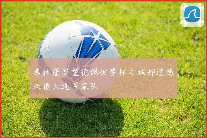 弗林蓬寄望德佩世界杯之旅却遗憾未能入选国家队